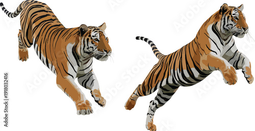 Dynamic of two tigers in mid-leap, showcasing their powerful and agile movements in a vibrant artistic style