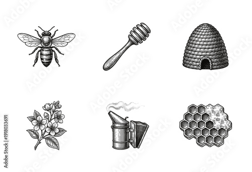 Vintage engraving style apiculture set featuring honey bee, skep hive, smoker tool, honeycomb, and floral branch icons.