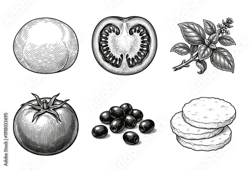 Italian food ingredients collection featuring hand drawn engraving style illustrations of mozzarella tomatoes basil olives and crackers