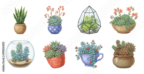 Set of Potted Succulent Plant Illustrations, Vector Design