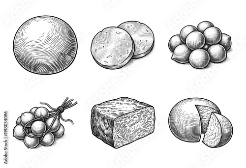 Collection of various cheese varieties including mozzarella, provolone, and parmesan in a vintage woodcut engraving style