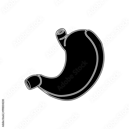 Striking Silhouette of the Human Stomach, an Essential Digestive Organ in a Clean, Minimalist Graphic Design for Health Concepts and Biological Education