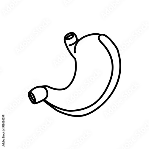 Human stomach line art vector illustration, a vital organ for digestion and overall health, depicted in a minimalist black outline style for medical and educational designs