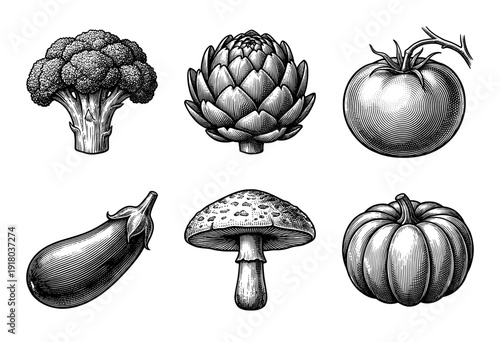 Vintage engraving style collection of vegetable illustrations including broccoli artichoke tomato eggplant mushroom and pumpkin
