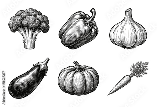 Vintage hand drawn vegetable collection featuring detailed etchings of broccoli pepper garlic eggplant pumpkin and carrot in a classic woodcut engraving style.