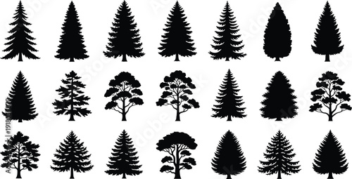 A large collection of black tree silhouettes including pine, spruce, and deciduous varieties isolated on a white background for landscape design and nature icons.