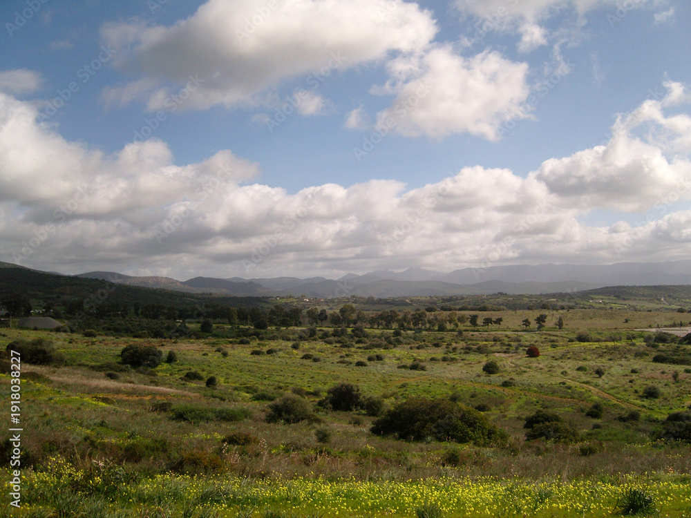 Obraz premium SAMSUNG DIGITAL CAMERA