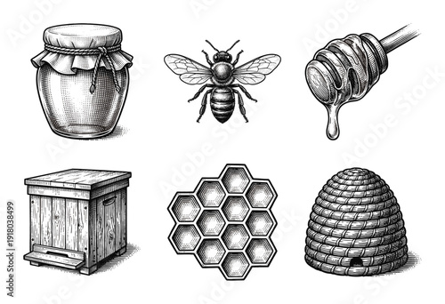 Vintage engraving style honey production collection featuring honeybee, honeycomb, hive, wooden apiary box, glass jar, and dripping honey dipper.