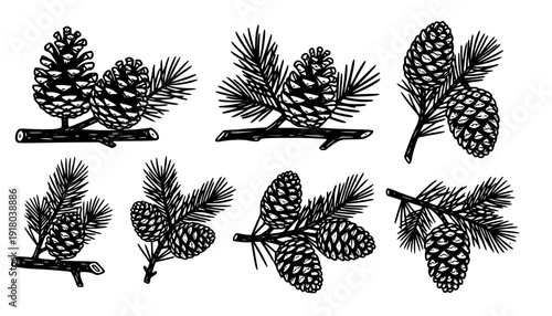 Pine Cones And Branches Linocut Print Style Icons Set On White Winter Forest Branches Nature Icons Carved Symbols Nature Prints Woodland Elements Bold Print Illustrations