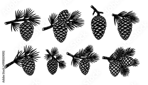 Pine Cones And Branches Linocut Print Style Icons Set On White Winter Forest Branches Nature Icons Carved Symbols Nature Prints Woodland Elements Bold Print Illustrations