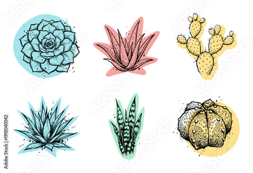 Vintage Hand Drawn Succulent and Cactus Sticker Set