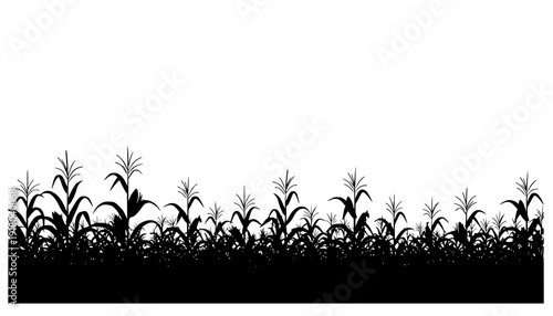 A black corn field. Maize field silhouette design vector illustration