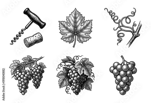 Collection of vintage woodcut illustrations featuring wine grapes, leaves, vine tendrils, and a corkscrew with cork in an etched engraving style.