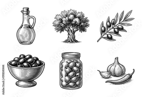 A collection of vintage woodcut style olive oil production illustrations featuring an olive tree, branch, jar, and garlic accents.