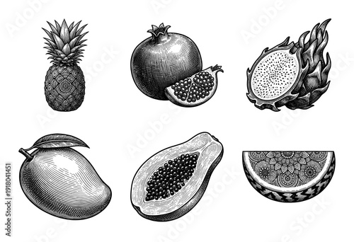 Set of tropical fruit illustrations in vintage monochrome woodcut style featuring pineapple pomegranate dragon fruit mango papaya and watermelon
