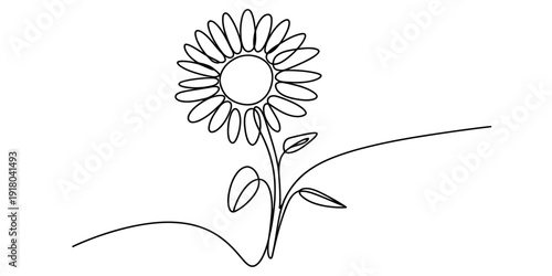 Continuous line art drawing of a single sunflower with stem and leaves on a white background Vector, illustration