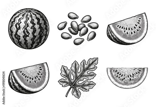 Vintage woodcut watermelon set featuring whole fruit, sliced wedges, textured seeds, and organic leaf in a hand-drawn black and white engraving style.