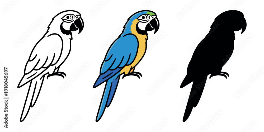 Fototapeta premium Vibrant blue and yellow macaw parrot in profile, shown in outline, color, and silhouette styles. Majestic tropical bird vector illustration.