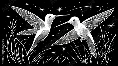 Two graceful hummingbirds flying amidst sparkling stars in a night sky, elegant black and white illustration.