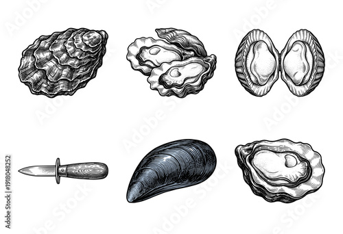 Vintage hand drawn seafood collection featuring oysters mussels clams and a shucking knife in an engraved woodcut style