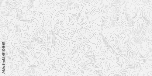 Abstract Topographic Contour Line Pattern with Smooth Flowing Terrain Elevation Layers
Detailed Geographic Relief Map Background with Modern Cartography Style Texture