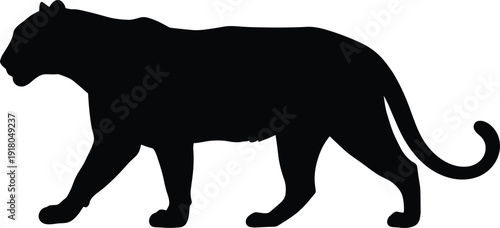 Silhouette of a powerful panther or jaguar walking gracefully with its tail curled upwards on a white background