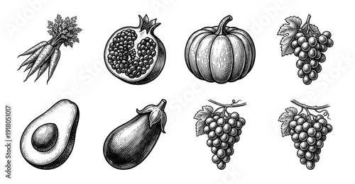 Vintage engraving style collection of assorted fruits and vegetables featuring pomegranate pumpkin grapes avocado eggplant and carrots