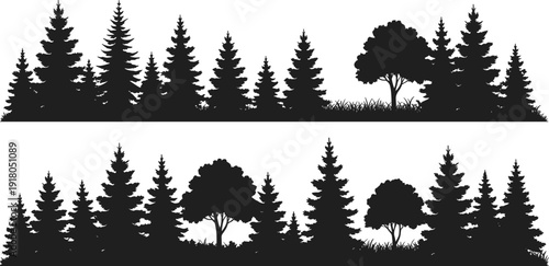 Forest tree silhouettes, woodland landscape, coniferous and deciduous trees, natural forest scene, black silhouette illustration, dense woodland background, nature design