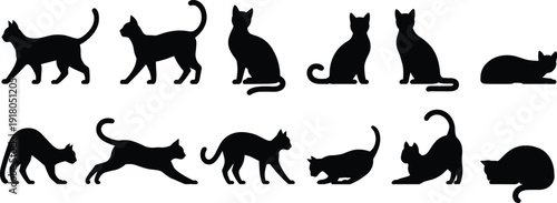 Black cat silhouettes collection, feline poses, sitting, standing, walking, stretching, jumping, curled, playful, domestic cats, animal design, vector art