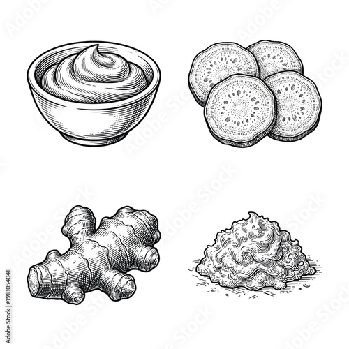 Ginger and horseradish root collection featuring whole rhizome, sliced pieces, grated paste, and creamy sauce in a hand-drawn vintage woodcut style.