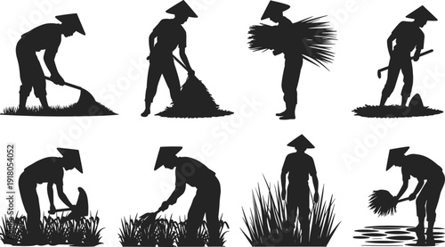 Traditional rice farming silhouettes, Asian farmers working in fields, planting rice, harvesting crops, conical hats, agriculture labor, rural lifestyle, culture