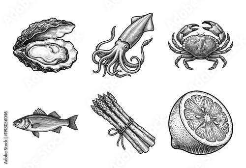 Collection of seafood and vegetables in hand drawn vintage engraving style featuring oyster squid crab fish asparagus and lemon.