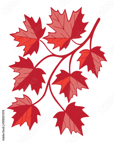 Red Maple Leaf Branch Vector