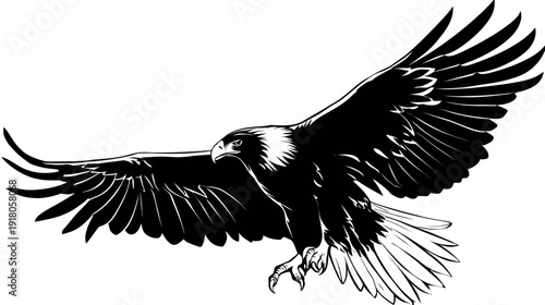 A striking black and white vector illustration of an eagle in flight, wings spread wide
