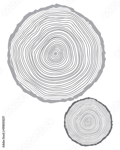 Tree Rings Background
