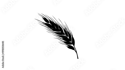 A simple black and white illustration of a wheat stalk on a white background