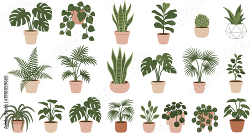 Indoor houseplants illustration set vector isolated on white background