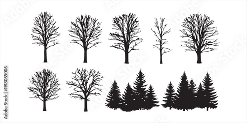 Winter tree silhouette set, bare deciduous and pine trees vector collection, leafless forest clipart, seasonal nature illustration pack