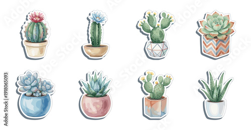 Cactus and Succulent Sticker Set, Vector Potted Plants Illustration