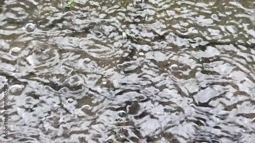 A calm collection of raindrops captured from an overhead perspective.