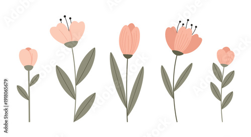 Collection of various flowers and buds in different stages of bloom, illustrated in a minimalist style