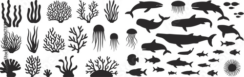 Marine life silhouettes collection featuring fish whales dolphins jellyfish coral seaweed ocean animals vector icons set isolated black design elements