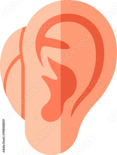 Human ear anatomy illustration with detailed inner structures