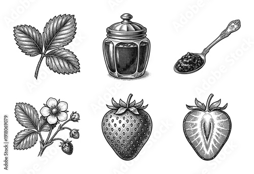 Vintage strawberry botanical illustration set featuring fresh berries, leaves, flowers, and jar of preserve in a classic woodcut engraving style.