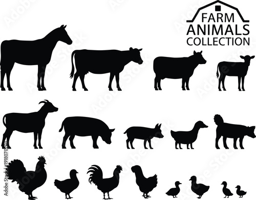 Farm animals silhouette collection with horse cow sheep goat pig poultry icons isolated black vector illustration for agriculture farming design