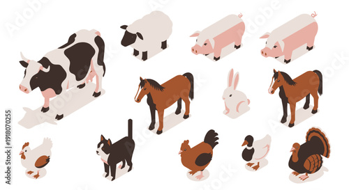 Collection of diverse animal silhouettes in flat design style