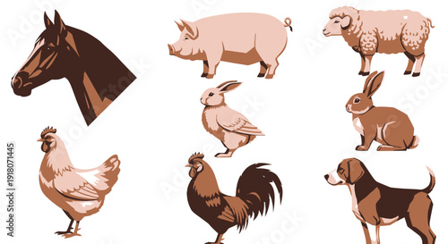 Collection of various farm and domestic animal illustrations