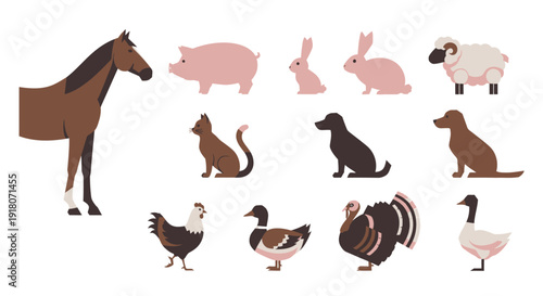 Collection of various farm and domestic animals on white background