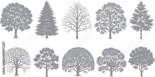 Diverse Collection of HandDrawn Tree Silhouettes Representing Various Species and Seasons.