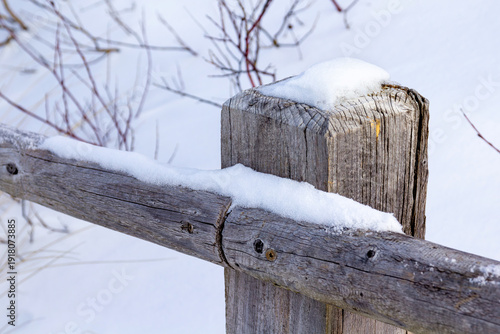 Wooden fence covered with snow